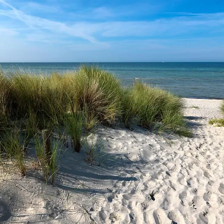 Daenische Ferienhaeuser Am Salzhaff Haus Am Salzhaff Insel Poel