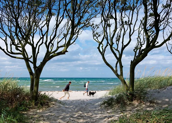 Daenische Ferienhaeuser Am Salzhaff Haus Am Salzhaff בית נופש *